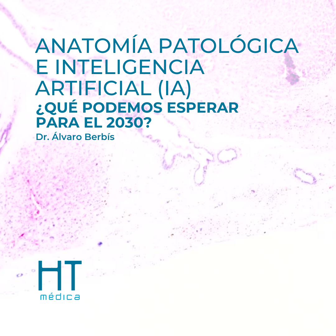 Anatomia de um sistema de inteligência artificial 