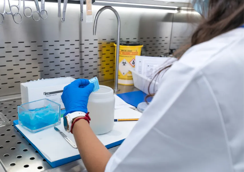biopsias y piezas quirurgicas